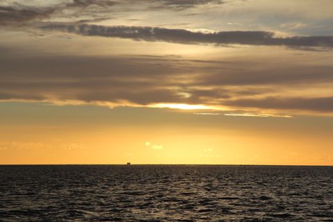 Droogvallen op het Wad