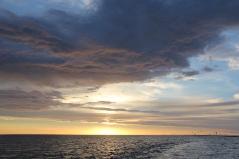 Droogvallen op het Wad — foto 3