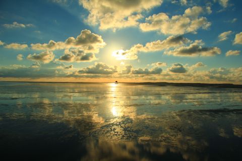 Droogvallen op het Wad — foto 5