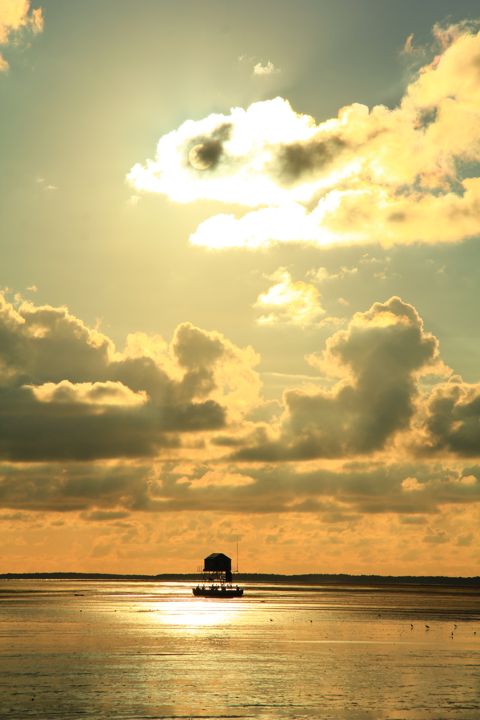 Droogvallen op het Wad — foto 6