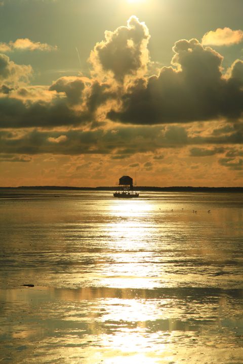 Droogvallen op het Wad — foto 11