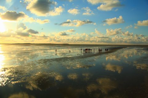 Droogvallen op het Wad — foto 16