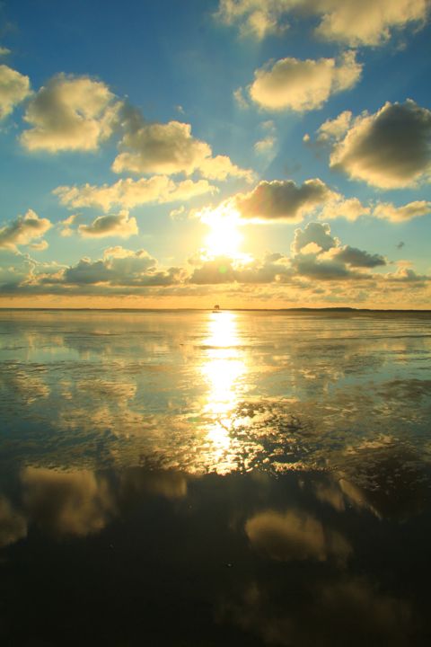 Droogvallen op het Wad — foto 17