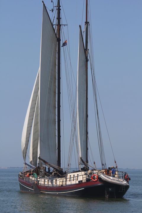 Eenhoorn — foto 2