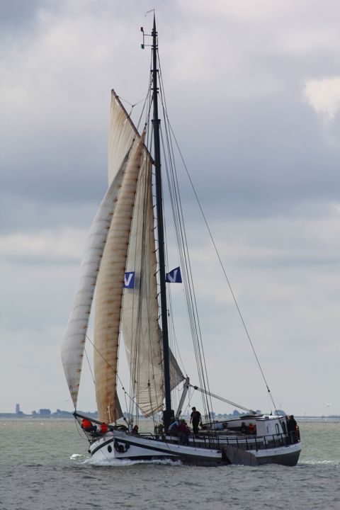 Fliere Fluiter