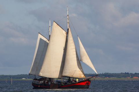 Klipper Anna — foto 2