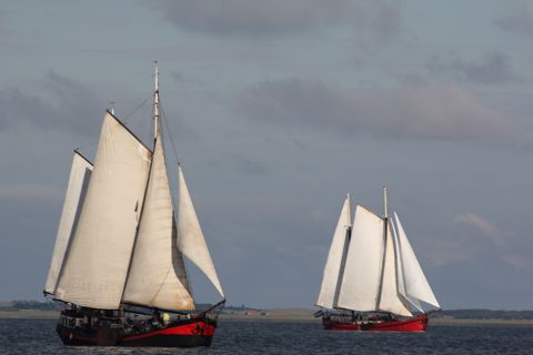 Klipper Anna — foto 4