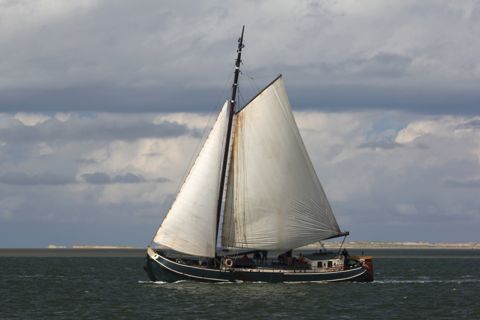 Laborsanitas