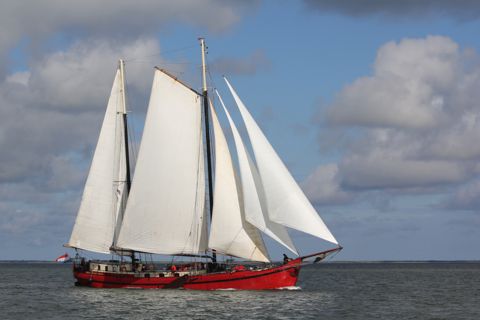 Mare Marieke — foto 2