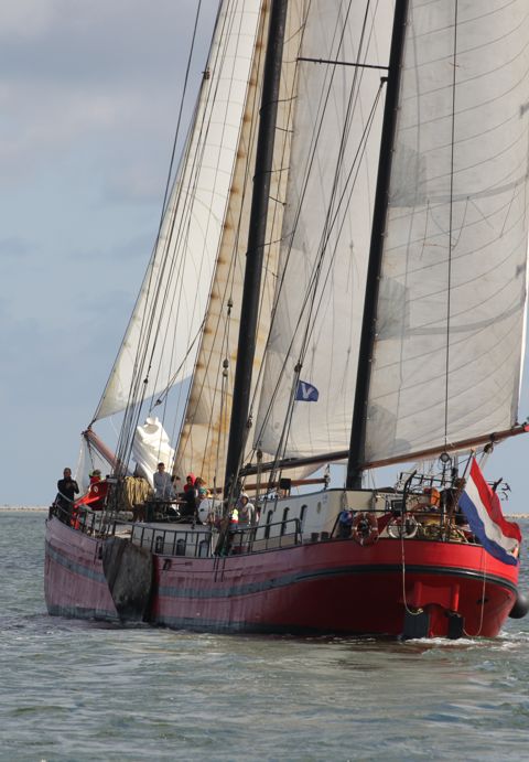 Mare Marieke — foto 3