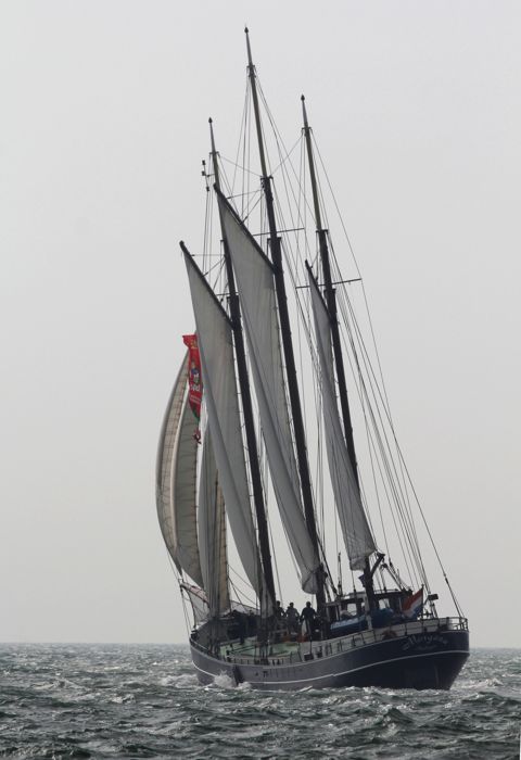 Morgana — foto 2