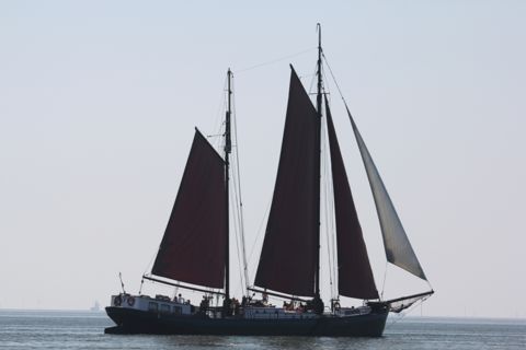 Noordvaarder