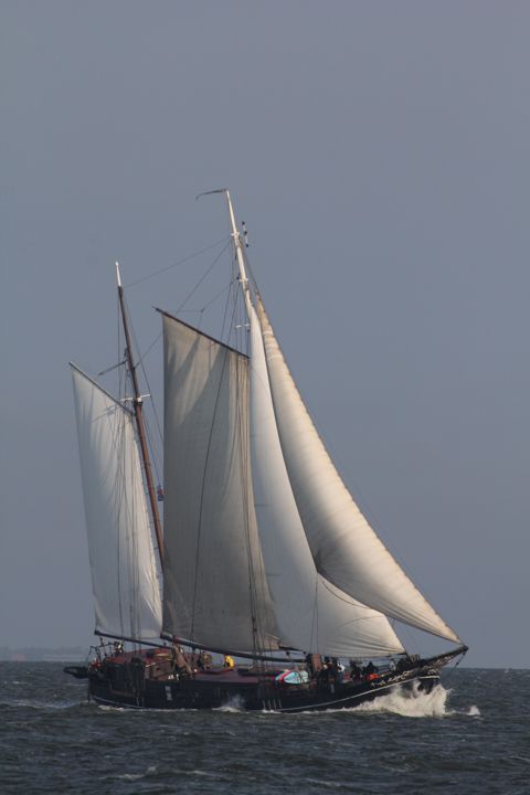 Pauwel Jonas
