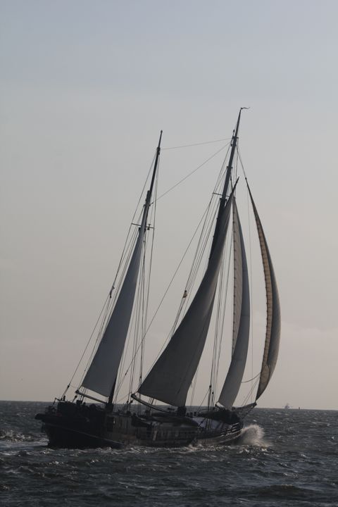 Pauwel Jonas — foto 6