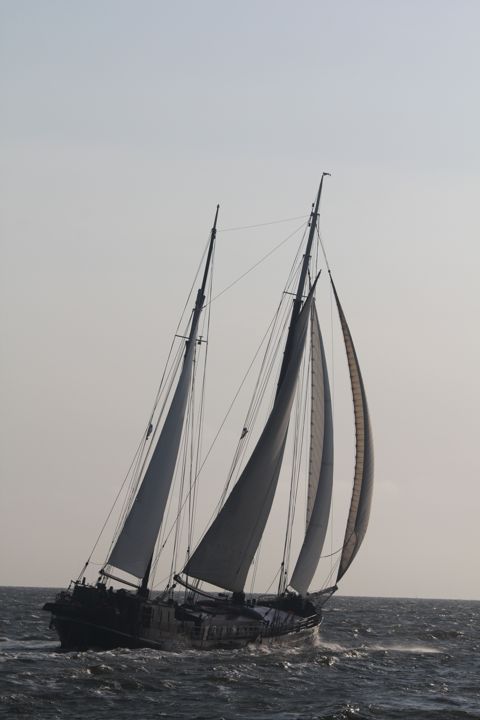 Pauwel Jonas — foto 7