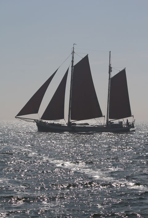 Westewind — foto 2
