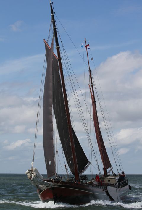 Zwarte Valk
